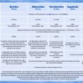 Flyer Fehmarnlauf - Seite 2