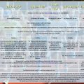 Flyer Fehmarnlauf - Seite 2
