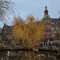 IMG_5319