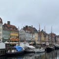 IMG_5294